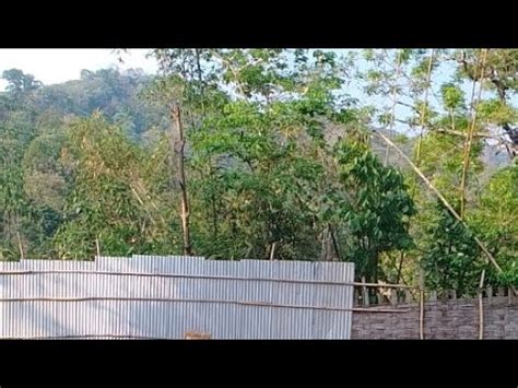 All Garo Hills Archery Association's Broadcast .